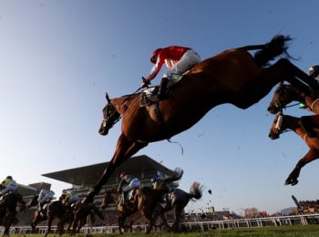 Horses Take The Stage in Cheltenham